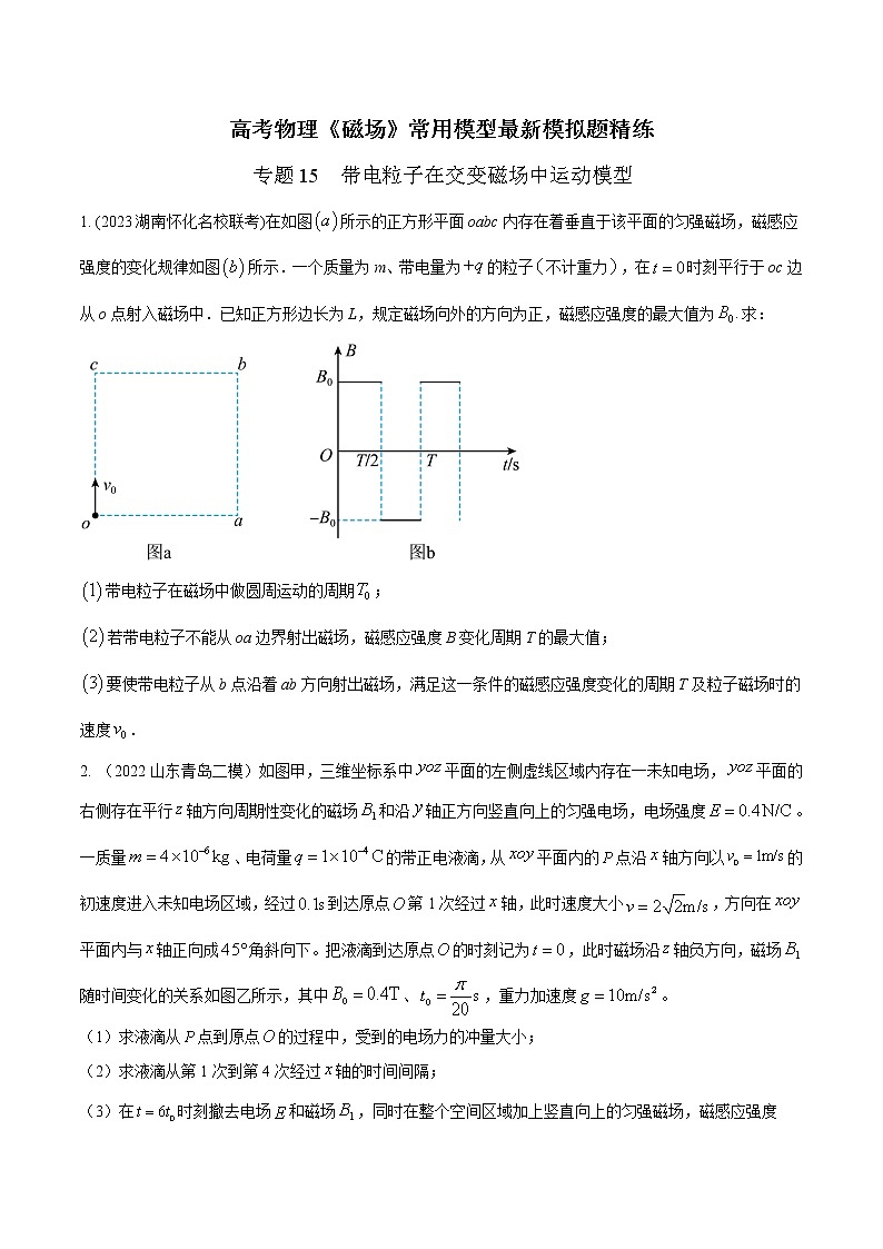 专题15. 带电粒子在交变磁场中运动模型(原卷版)第1页
