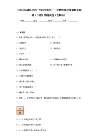 上海市杨浦区2022-2023学年高三下学期等级考模拟质量调研（二模）物理试题（含解析）