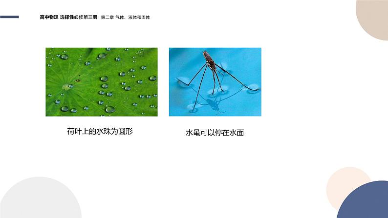 粤教版高中物理选择性必修第三册·第二章气体、液体和固体 第4节液体的表面张力(课件PPT)第4页