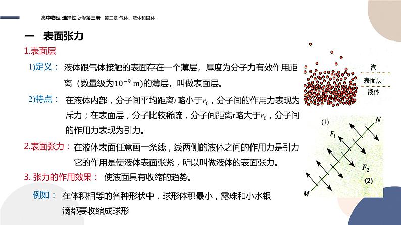 粤教版高中物理选择性必修第三册·第二章气体、液体和固体 第4节液体的表面张力(课件PPT)第6页