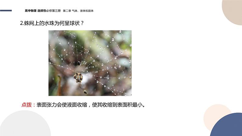 粤教版高中物理选择性必修第三册·第二章气体、液体和固体 第4节液体的表面张力(课件PPT)第8页