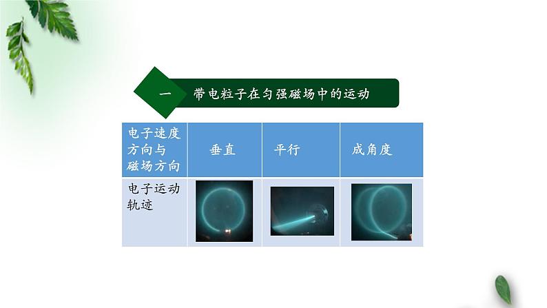 2022-2023年人教版(2019)新教材高中物理选择性必修2 第1章安培力与洛伦兹力第3节带电粒子在匀强磁场中的运动(第二课时)课件第3页
