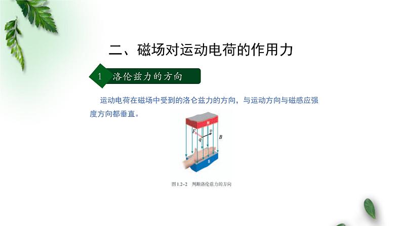 2022-2023年人教版(2019)新教材高中物理选择性必修2 第1章安培力与洛伦兹力第2节磁场对运动电荷的作用力(第一课时)课件04