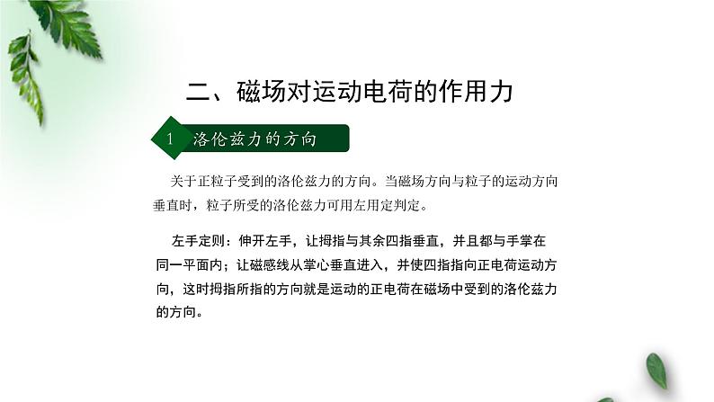 2022-2023年人教版(2019)新教材高中物理选择性必修2 第1章安培力与洛伦兹力第2节磁场对运动电荷的作用力(第一课时)课件05