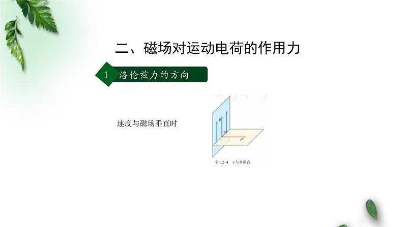 2022-2023年人教版(2019)新教材高中物理选择性必修2 第1章安培力与洛伦兹力第2节磁场对运动电荷的作用力(第一课时)课件06