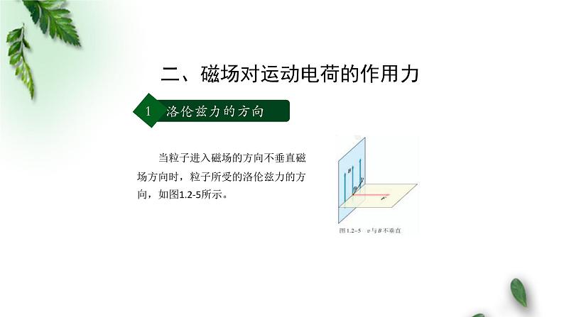 2022-2023年人教版(2019)新教材高中物理选择性必修2 第1章安培力与洛伦兹力第2节磁场对运动电荷的作用力(第一课时)课件07