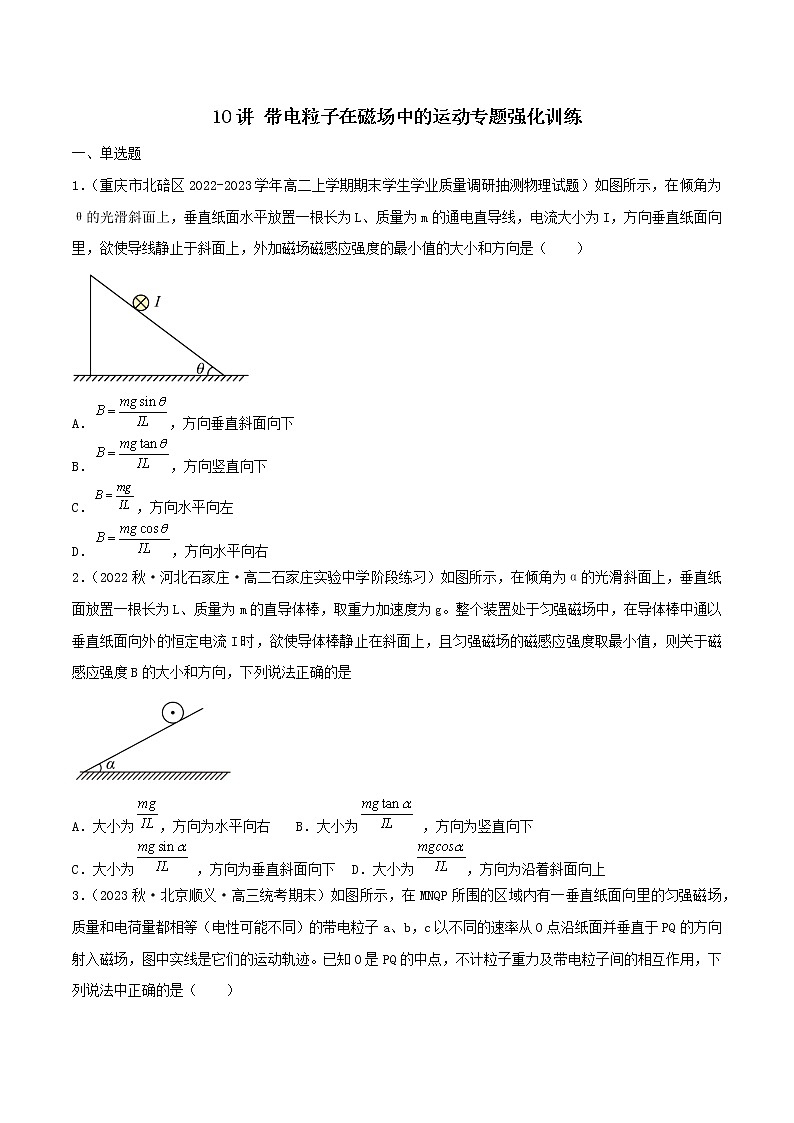 10讲 带电粒子在磁场中的运动专题强化原卷版第1页