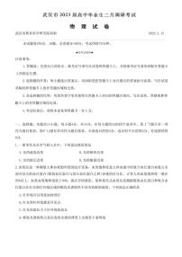 2022-2023学年湖北省武汉市高三下学期2月调研考试 物理 PDF版
