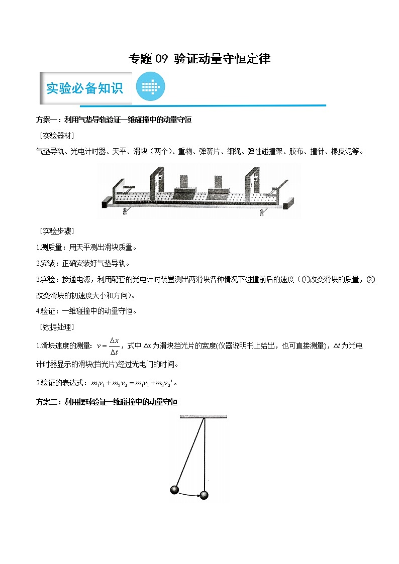 专题09 验证动量守恒定律(原卷版)——【备考2023】高考物理实验题专题精讲精练学案第1页