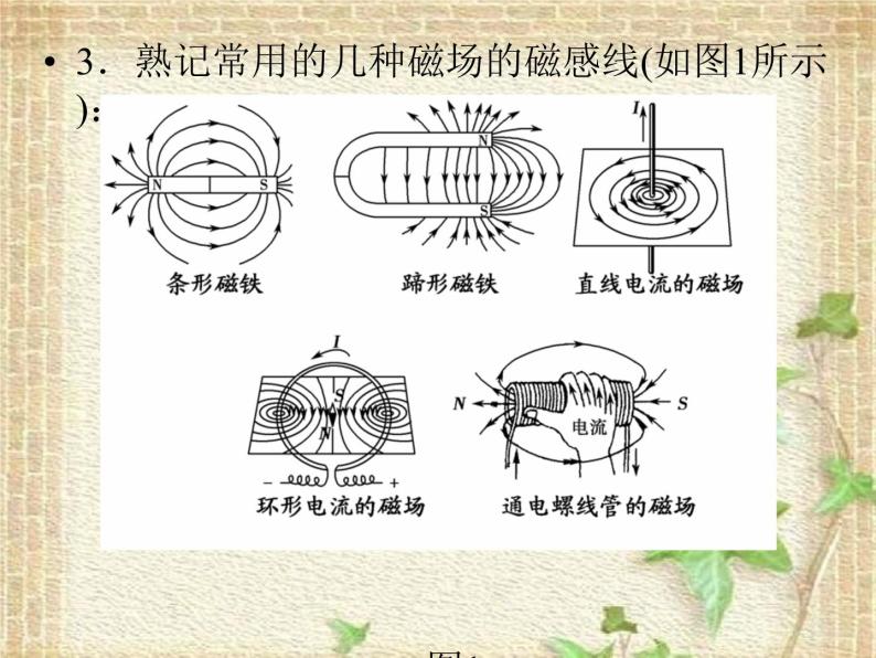 2022-2023年高考物理二轮复习 磁场课件(重点难点易错点核心热点经典考点)07