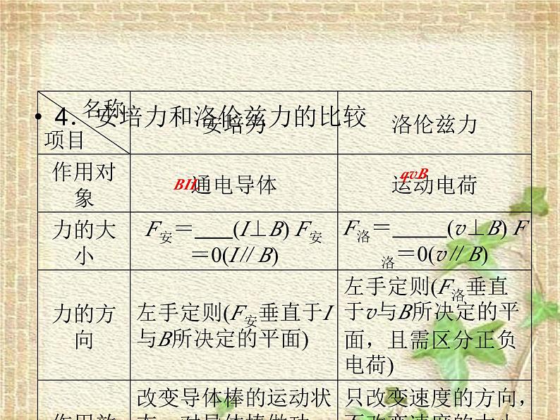 2022-2023年高考物理二轮复习 磁场中常考的3个问题课件(重点难点易错点核心热点经典考点)06