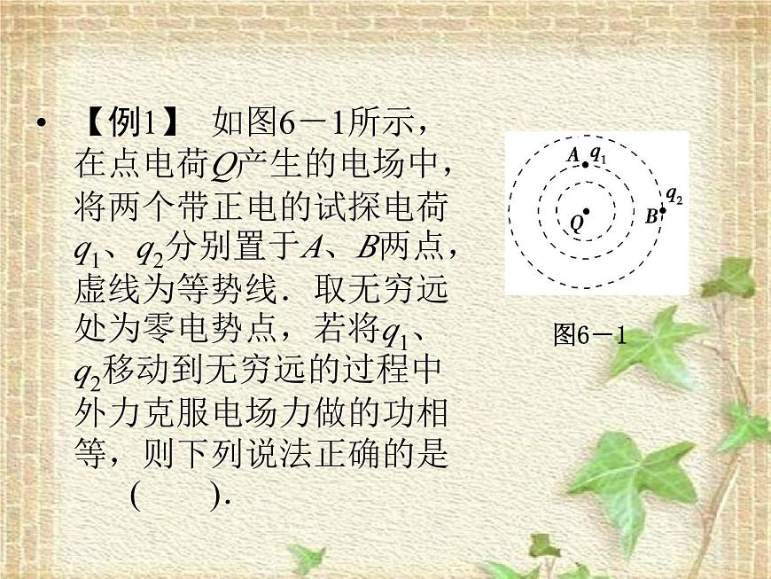 2022-2023年高考物理二輪復(fù)習(xí) 電場中?？嫉?個問題課件(重點難點易錯點核心熱點經(jīng)典考點)第8頁
