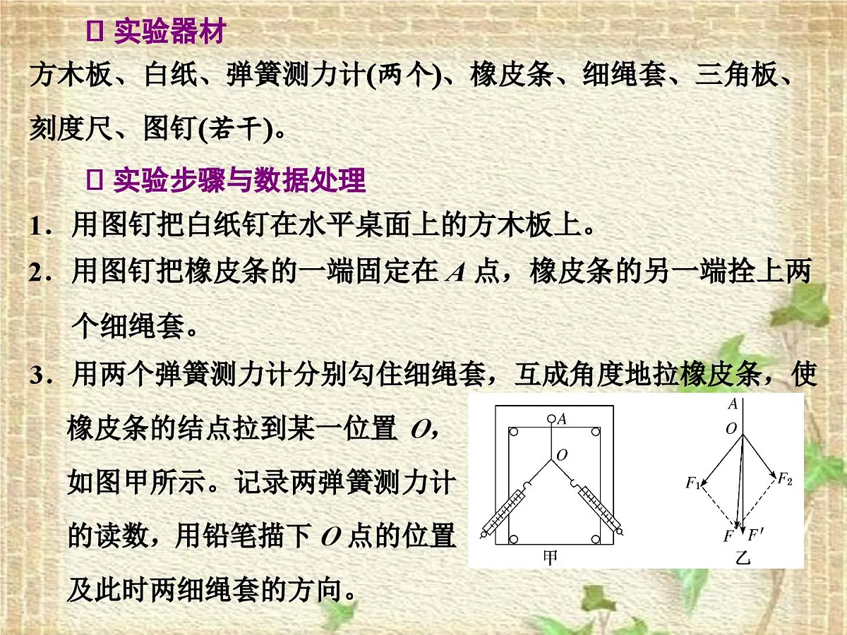 2022-2023年高考物理一轮复习 实验:探究两个互成角度的力的合成规律课件(重点难点易错点核心热点经典考点)第3页