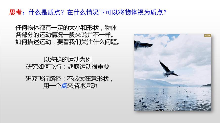 1.1 質(zhì)點(diǎn) 參考系課件PPT第5頁