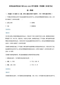 2022-2023学年广东省深圳实验学校高中部高一上学期第三阶段考试物理试题含解析