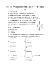 2022-2023学年湖北省武汉市常青联合体高二（下）期中物理试卷-普通用卷