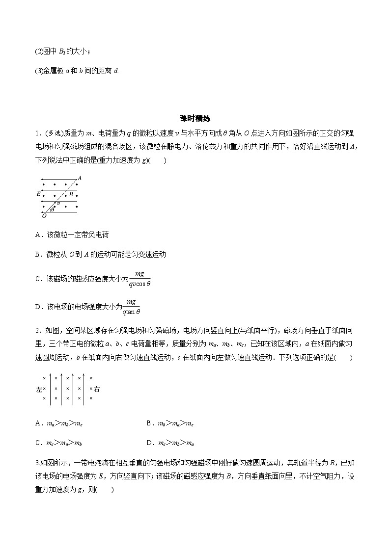 考前适应练二十二 带电粒子在叠加场和交变电、磁场中的运动-备战2023年高考三轮复习专题-复习与训练-原卷版第3页