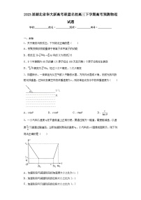 2023届湖北省华大新高考联盟名校高三下学期高考预测物理试题（无答案）