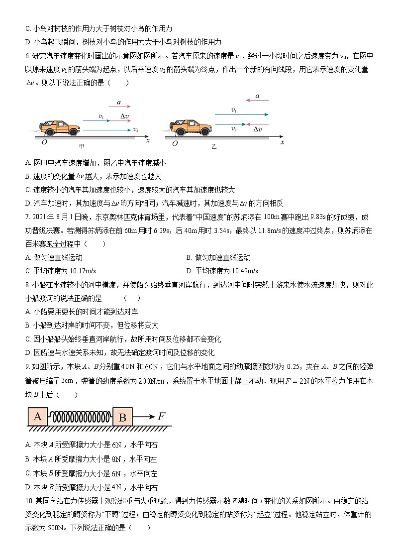 2022北京朝阳高一(上)期末物理(教师版)第2页