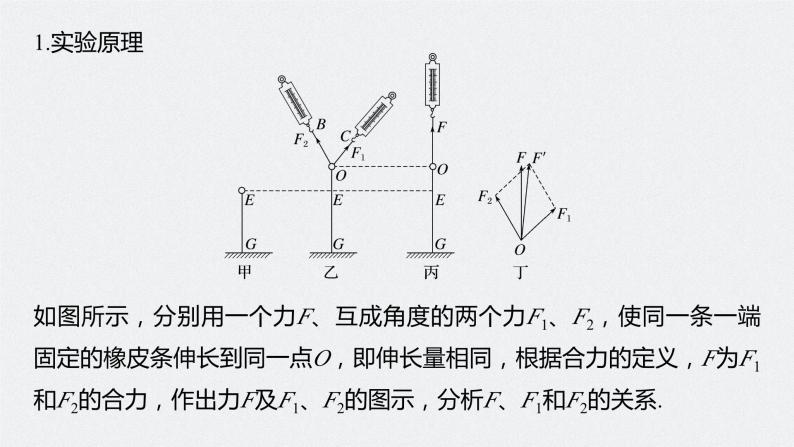 2024年高考物理一轮复习（新人教版） 第2章 实验3　探究两个互成角度的力的合成规律 课件05