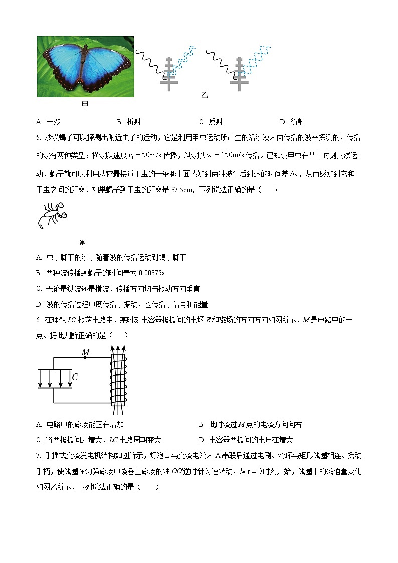 2023绍兴高二下学期期末物理试题含解析02