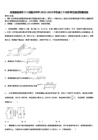 安徽省宿州市十三所重点中学2022-2023学年高三5月阶段性测试物理试题