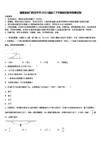 福建省廈門科技中學(xué)2023屆高三下學(xué)期返校聯(lián)考物理試題