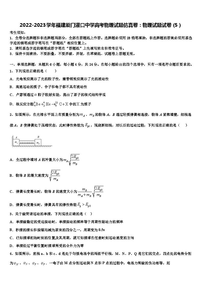 2022-2023学年福建厦门灌口中学高考物理试题仿真卷:物理试题试卷(5)第1页