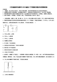 江苏省南通市如皋市2023届高三下学期联合模拟考试物理试题