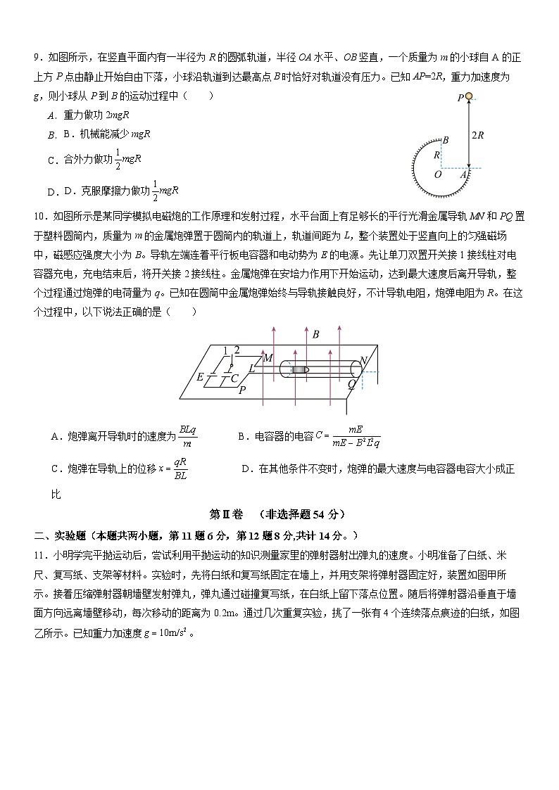 东北育才学校科学高中部2023-2024学年度高考适应性测试(一)物理试题第3页