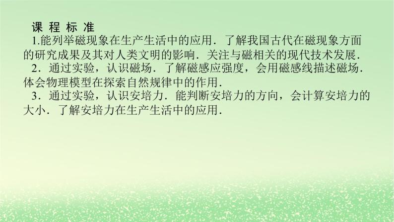 2024版新教材高考物理全程一轮总复习第十一章磁场安培力与洛伦兹力第1讲磁场及其对电流的作用课件02