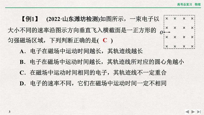 2024年高考物理第一轮复习课件:章末提升 核心素养提升(九)第3页