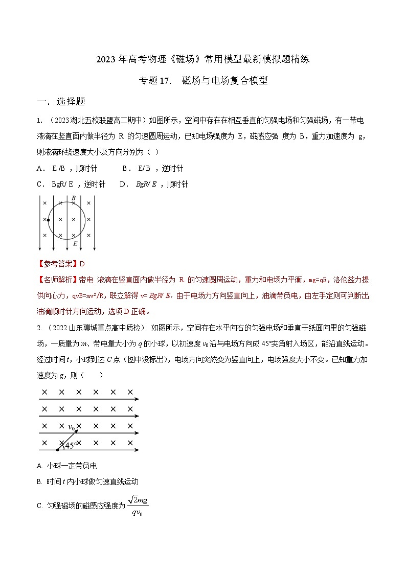 专题17 磁场与电场复合模型-2023年高考物理磁场常用模型最新模拟题精练(解析版)第1页