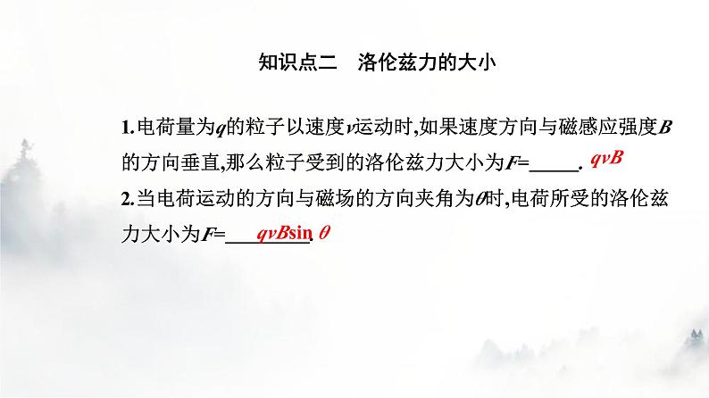 人教版高中物理选择性必修第二册第一章安培力与洛伦兹力1-2磁场对运动电荷的作用力课件第5页