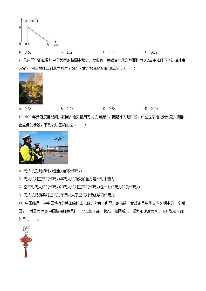 浙江省台州市温岭中学2023-2024学年高一上学期学生学科素养开学测试物理试题无答案第3页