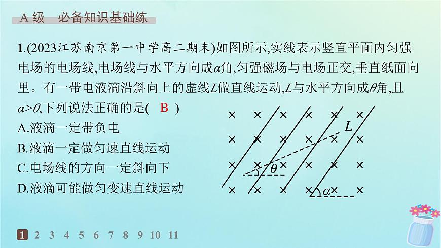 新教材2023_2024學(xué)年高中物理第1章磁吃電流的作用專題提升3帶電粒子在復(fù)合場中的運(yùn)動分層作業(yè)課件教科版選擇性必修第二冊第2頁