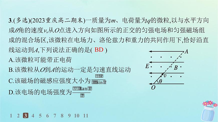 新教材2023_2024學(xué)年高中物理第1章磁吃電流的作用專題提升3帶電粒子在復(fù)合場中的運(yùn)動分層作業(yè)課件教科版選擇性必修第二冊第6頁