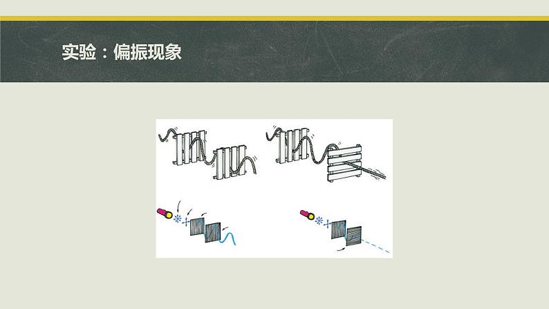 4.6 光的偏振 激光 课件 2023-2024学年高二上学期物理人教版(2019)选择性必修第一册04