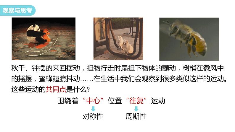 2.1 简谐运动 课件 2023-2024学年高二上学期物理人教版(2019)选择性必修第一册05