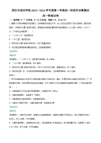 湖北省武汉外国语学校2023-2024学年高一物理上学期10月月考试题（Word版附解析）