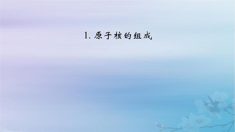 新教材适用2023_2024学年高中物理第5章原子核1原子核的组成课件新人教版选择性必修第三册第2页