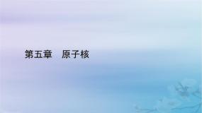 高中物理人教版 (2019)选择性必修 第三册第五章 原子核2 放射性元素的衰变图片ppt课件