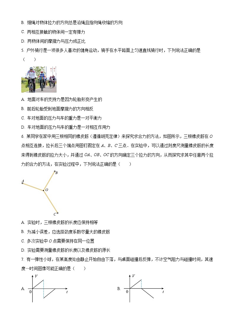 江苏省苏州市2023-2024学年高一物理上学期11月期中调研考试试题(Word版附解析)第2页