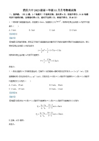 湖北省武汉市第六中学2023-2024学年高一上学期11月月考物理试题（Word版附解析）