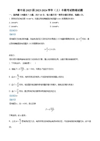 重庆市青木关中学2023-2024学年高二上学期期中物理试题（Word版附解析）