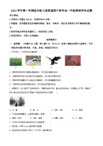 浙江省温州市新力量联盟2023-2024学年高一物理上学期期中联考试题（Word版附解析）