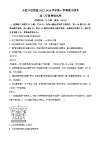 安徽省合肥六校联盟2023-2024学年高二上学期期中联考物理试卷(Word版附解析)