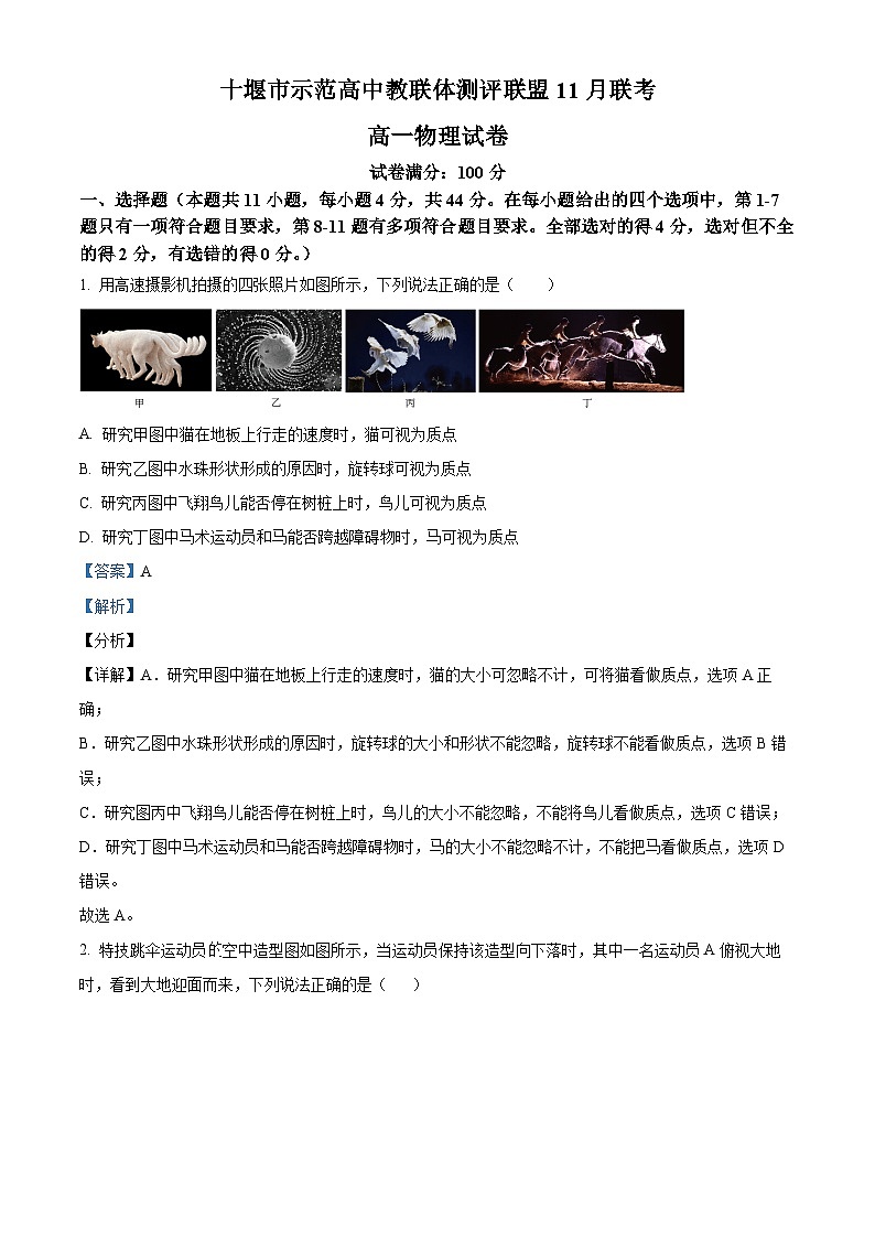 2024十堰示范高中教联体测评联盟高一上学期11月期中联考物理试题含解析01