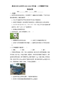 黑龙江省七台河市2023-2024学年高一上学期期中考试物理试卷（含解析）