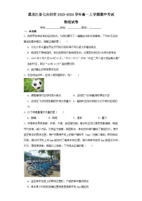 黑龙江省七台河市2023-2024学年高一上学期期中考试物理试卷（含解析）